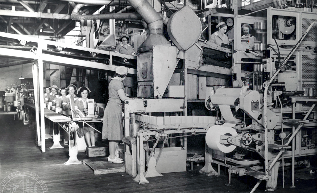 Packing Prunes at Del Monte Plant 51 Circa 1950 